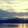 card_bg01