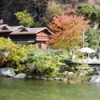 card_bg01